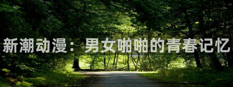 动漫之家社区版有什么区别