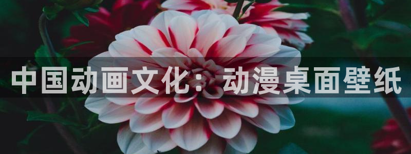 动漫之家app官网