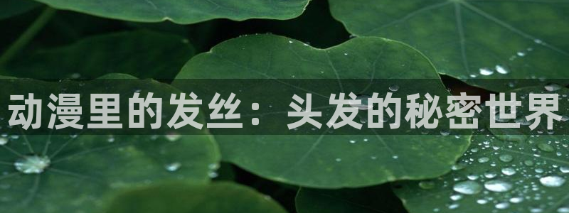 动漫之家下载ios